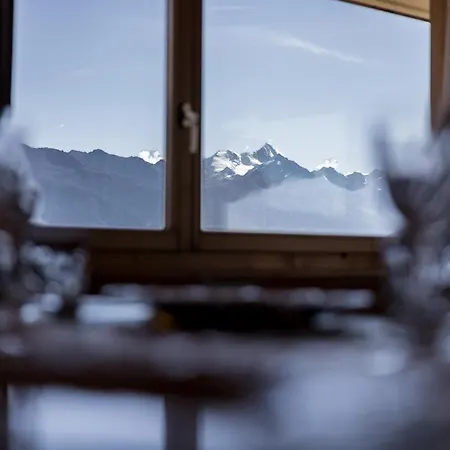 Terre Alpine